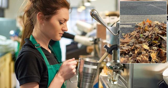 Starbucks Doubles Down On Fall Menu With Wet Leaves Latte