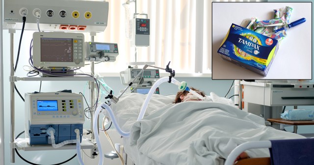 Alpha Male in Critical Condition After Accidentally Touching Unopened Box of Tampons