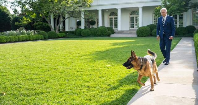 Commander Biden Bites All 221 House Republicans, Seizes Speakership