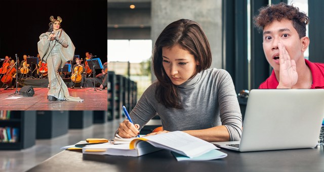 The Top 20 Björk Songs to Whisper at Strangers in the Library