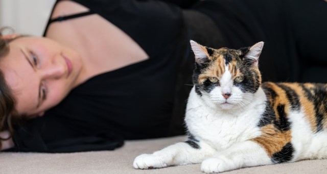 Poll: Is It Ok If I Lay On Your Floor And Let Your Cats Sniff Me?