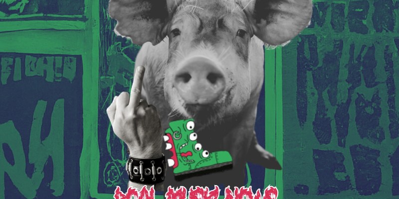 Hard Times Real Music News Black Metal Pigs Head