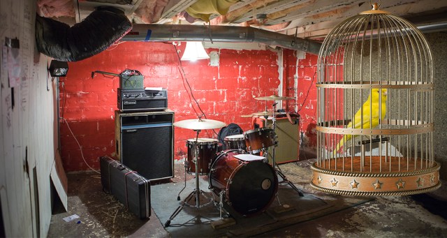 Distressed Canary Really Killing Vibe in Poorly Ventilated Basement Venue