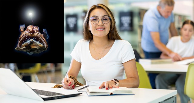 Why I Stopped Training for a Beach Body to Work on a Deep Ocean Trench Body Instead