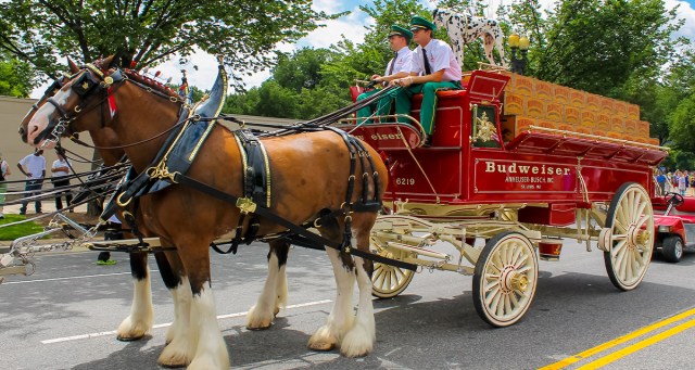 Budweiser Doubles Down on Pride With Super Bowl Commercial Featuring Gay Clydesdale