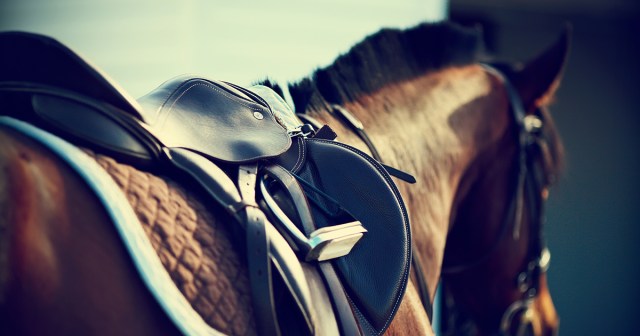5 Other Things Made for Horses You Can Enjoy While on Ketamine
