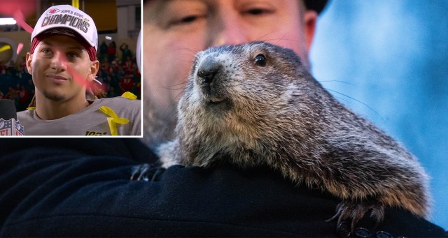 Punxsutawney Phil Predicts Early Spring, Chiefs Winning Super Bowl in Unhinged Conspiratorial Rant