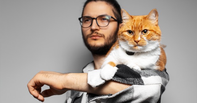 Oh, You’re a Cat Lover? Name Three Insane Things the Parasites in Your Brain Have Compelled You To Do