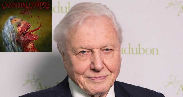Top 15 Cannibal Corpse Songs We Want to See Narrated by David Attenborough