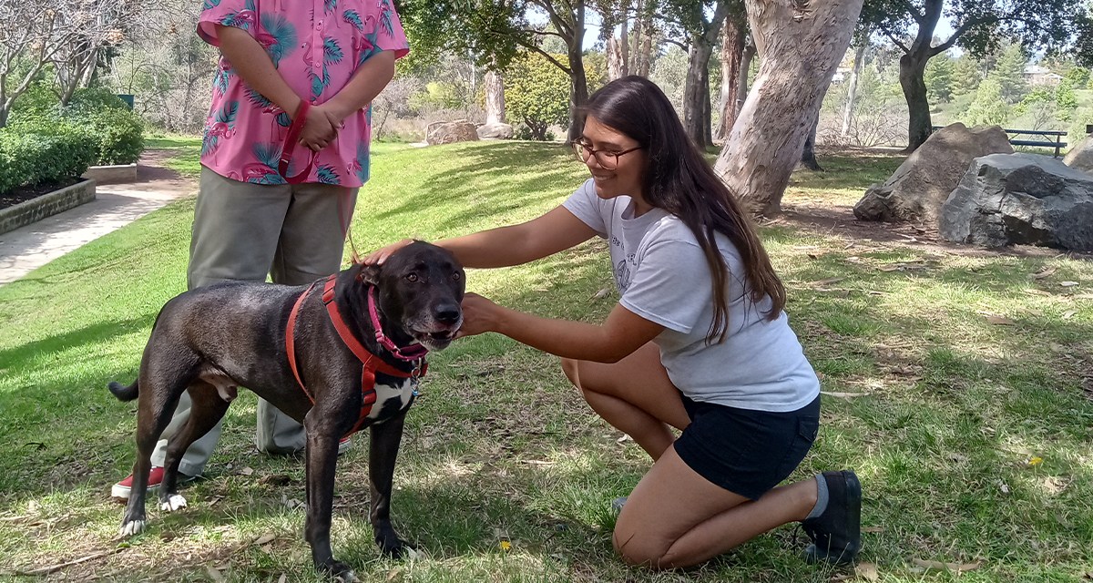 Woman Knows Name and Birthday of Every Dog in Neighborhood But Cannot ...