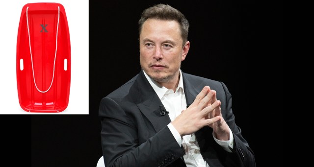 New Biography Reveals “X” Was Name of Elon Musk’s Beloved Childhood Sled
