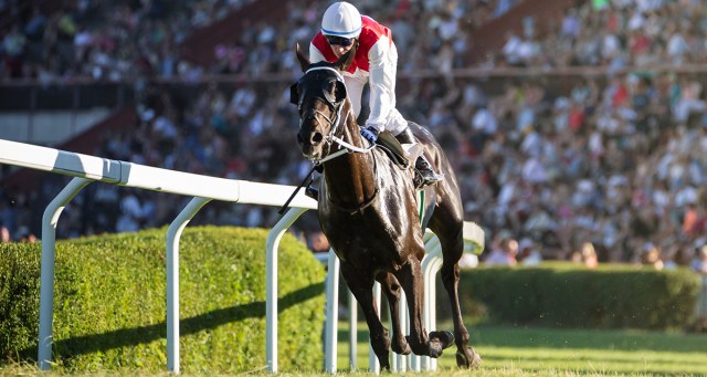 Animal Rights Win: Injured Jockeys Will Be Shot At This Year’s Kentucky Derby