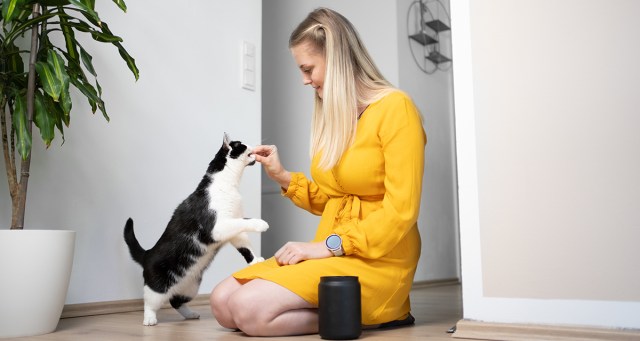Woman Jealous of Cat’s Health Insurance