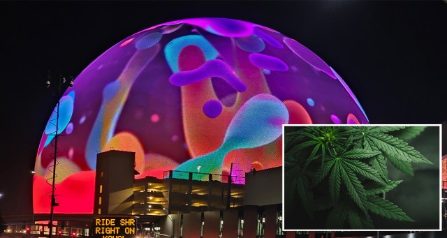 DEA Reschedules Marijuana After Having Their Minds Blown at Those Phish Sphere Concerts