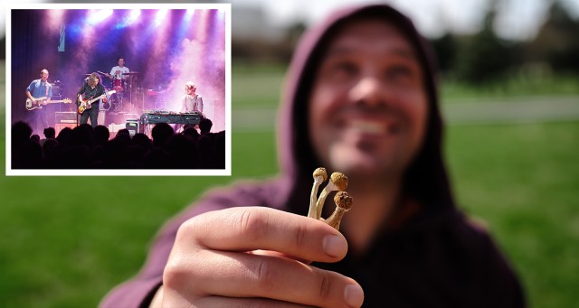 The Top 20 War on Drugs Songs For Unsolicited Rambling Shroom Stories