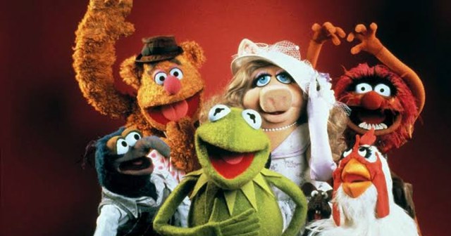 The Muppets Ranked by How Likely They Are To Carry Rabies