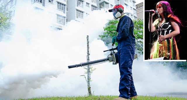 Reykjavik Residents Reminded to Keep Windows Closed During Annual Björk Spraying