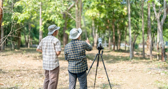 Ornithologists Admit They Were “Super Horny” When They Named All Those Birds