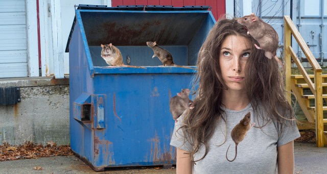 The Next Cinderella? I Let Some Rats Give Me a Makeover