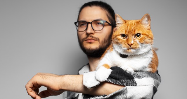 The Top 10 Things My Landlord Needs to Fix If He Ever Wants to See His Cat Again