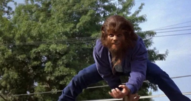 25 Extreme Sports Ranked by How Naturally Proficient Teen Wolf Would Be At Them