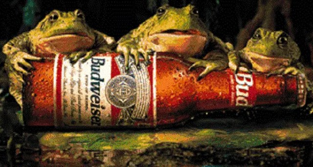 We Caught up with the Budweiser Frogs Because We’re Curious About the Ravaging Effects of Alcohol on Amphibians