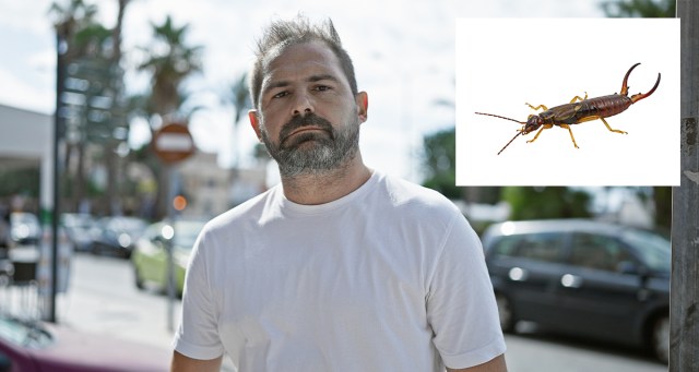 Bug That Crawled Into Man’s Ear While Using FYE Listening Station in 2002 Finally Dies