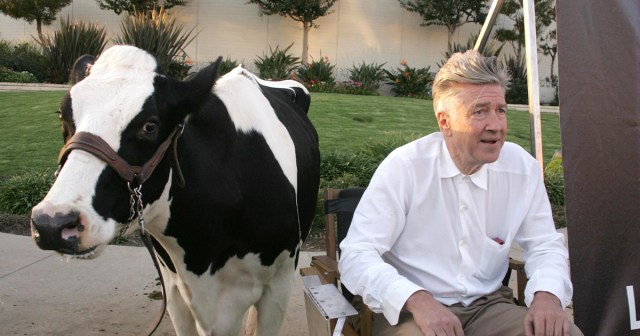 Ranked: Every David Lynch Movie We Would Rather Live In Than Deal with This Election