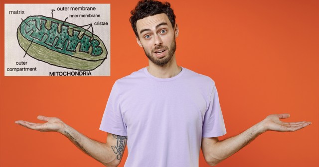 Opinion: Why Haven’t We Are Scientists Written a Song About Mitochondria Being the Powerhouse of the Cell?