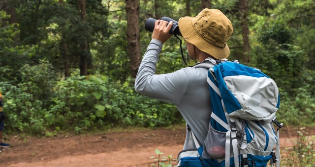 Nation’s Bird Watchers Finally Admit It’s Sexual
