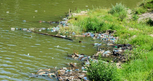 Tourists Flock to City Lake for Summertime Chemical Garbage Blooms
