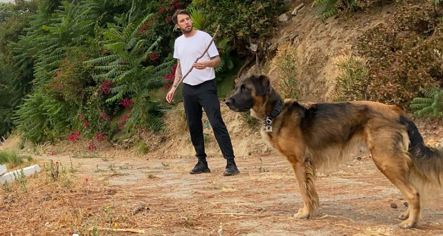 Hike Put On Hold After Cool Stick Found