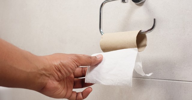 7 Items You Can Use Instead of Toilet Paper Because, Fuck It, You Don’t Own This Place