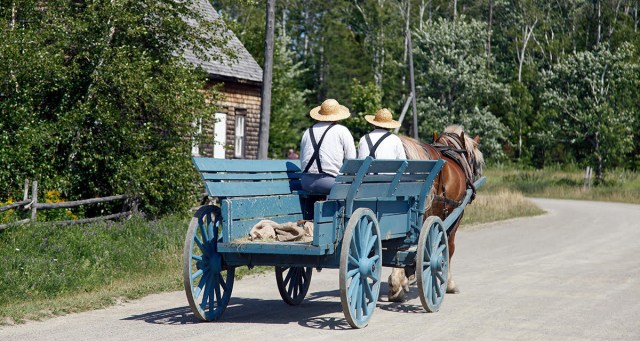 Anarchist Makes It 3 Weeks into New Collectivist Compound Before Realizing They Accidentally Joined Amish Village