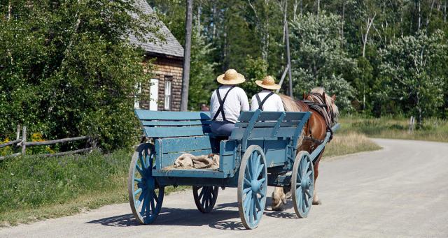 Anarchist Makes It 3 Weeks into New Collectivist Compound Before Realizing They Accidentally Joined Amish Village