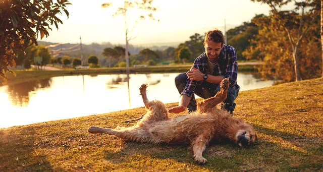 Local Dad Unknowingly Performs Greatest Drum Solo of All Time on Belly of Labrador Retriever