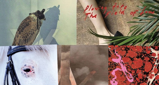 Every Iceage Album Ranked Worst to Best