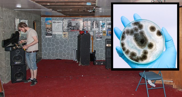 Basement Show Features Great Lineup of Local Molds