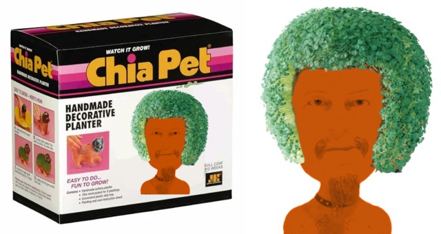 GG Allin Chia Pet Has Very Different Set of Directions for Fertilizing Soil