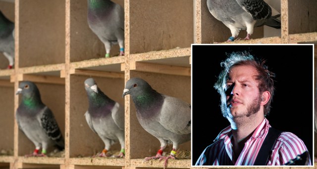 Bon Iver Announces Next Release Will Only Be Available by Carrier Pigeon