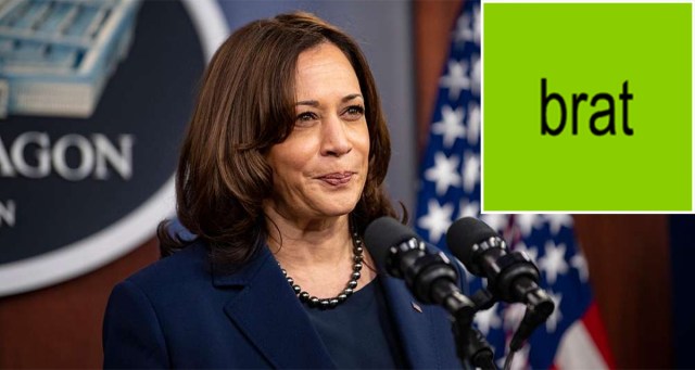 Opinion: It’s Time To Reconcile With the Fact That Being “brat” Isn’t Enough for America