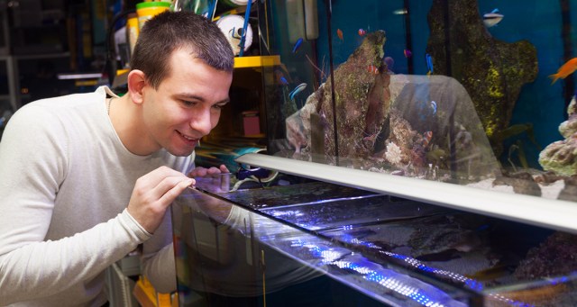 ​Opinion: Why Pay $60 For A Concert When You Could Just Take Edibles At A Pet Store?