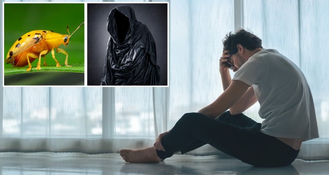 Opinion: There Is No “Male Loneliness Epidemic” If You Remember Bugs and Ghosts