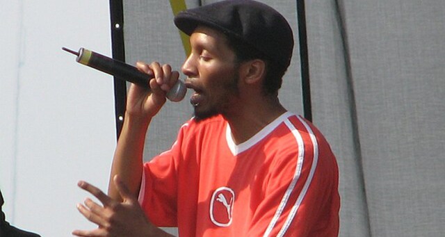 Genealogy Test Shows Del Tha Funkee Homosapien Direct Descendant of Del Tha Funkee Homo Erectus