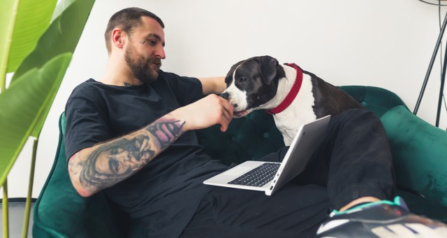 Aging Punk Who Once Slept on Floors Now Obsessed With Memory Foam Mattress Reviews