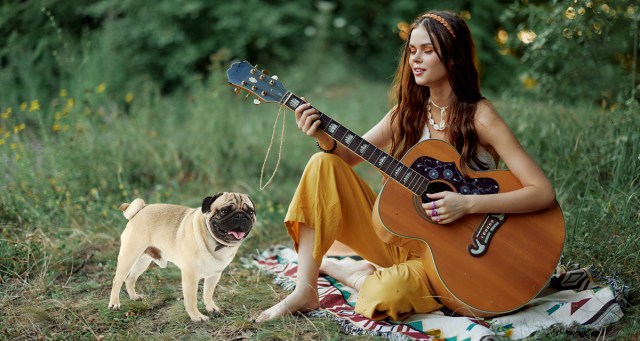 Hippie Names Dog Bowie After Phish Song “David Bowie”