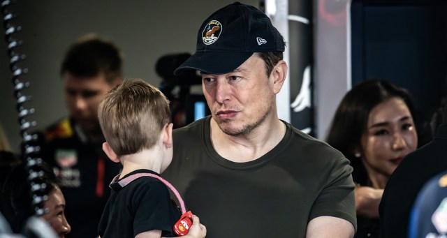 Report: Statistically Elon 3-4 Children Away From Having One Who Actually Loves Him