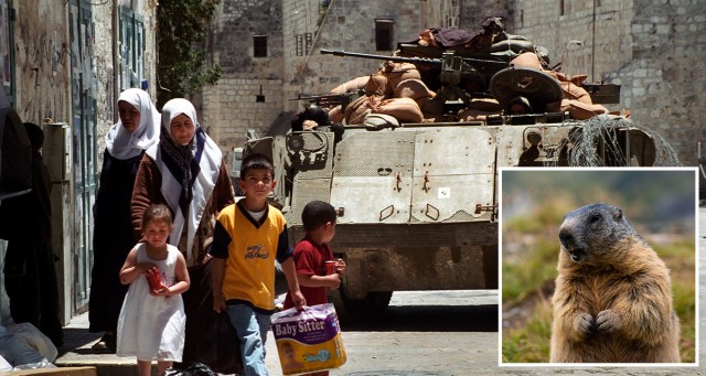 Israel’s Punxsutawney Phil Predicts Six More Weeks Of Genocide