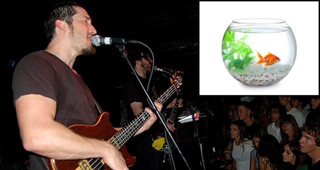 Pinback’s “Penelope” Nominated for “Best Song About Goldfish Ownership” for 24th Year in a Row