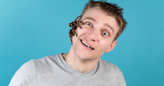 How Am I Supposed To Raise My Pet Tarantula in Times Like These?